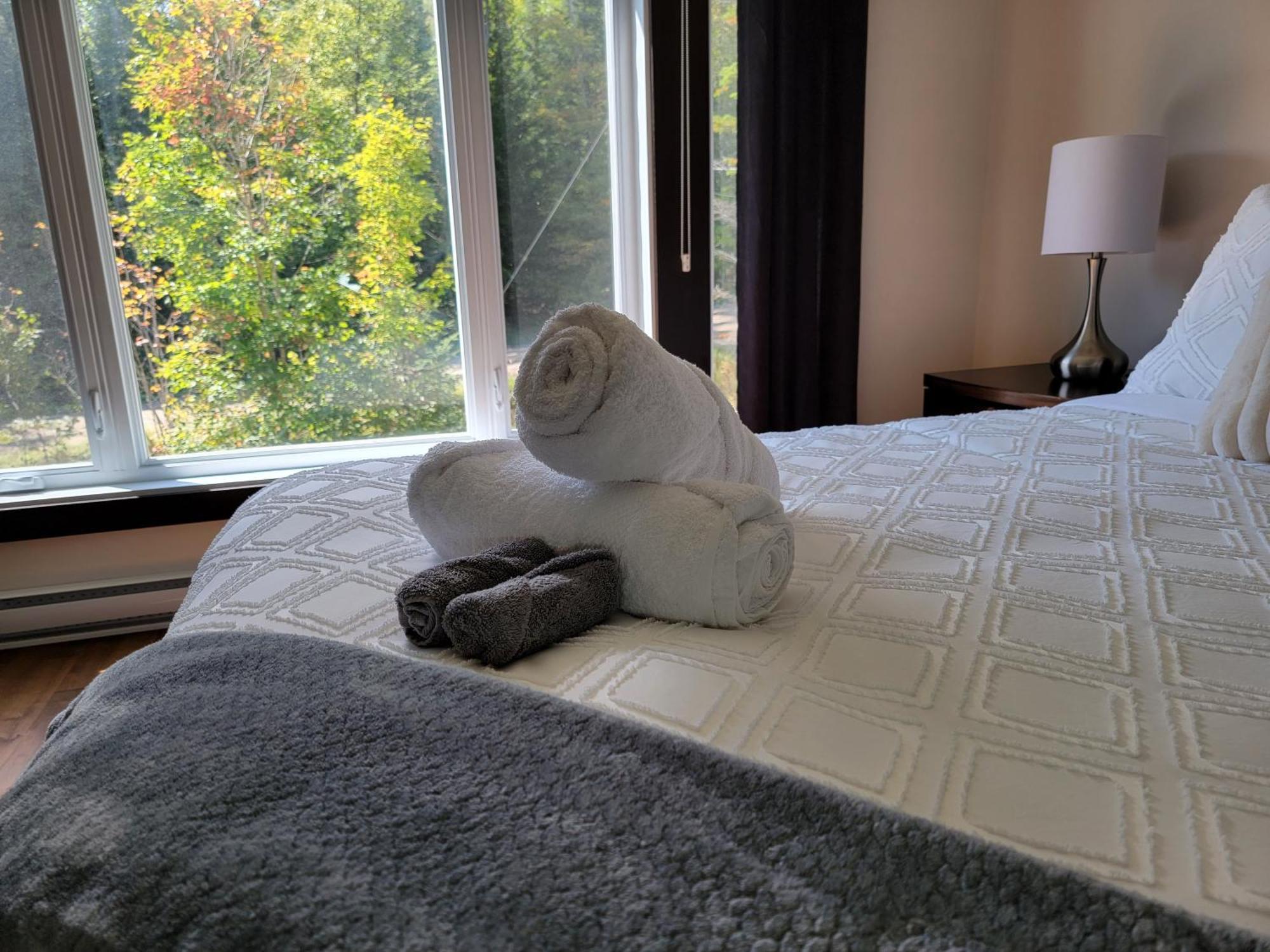Chalet Au Boise Saint Come エクステリア 写真